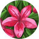 Suzanne M. profile picture